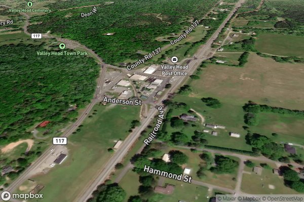 metal roofing installation in Valley Head AL 35989 - Aerial View